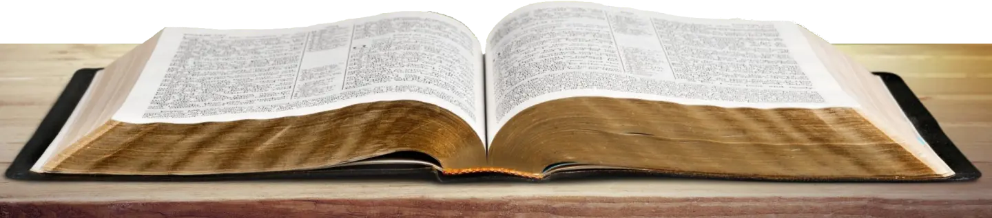Image of a bible with a transparent background
